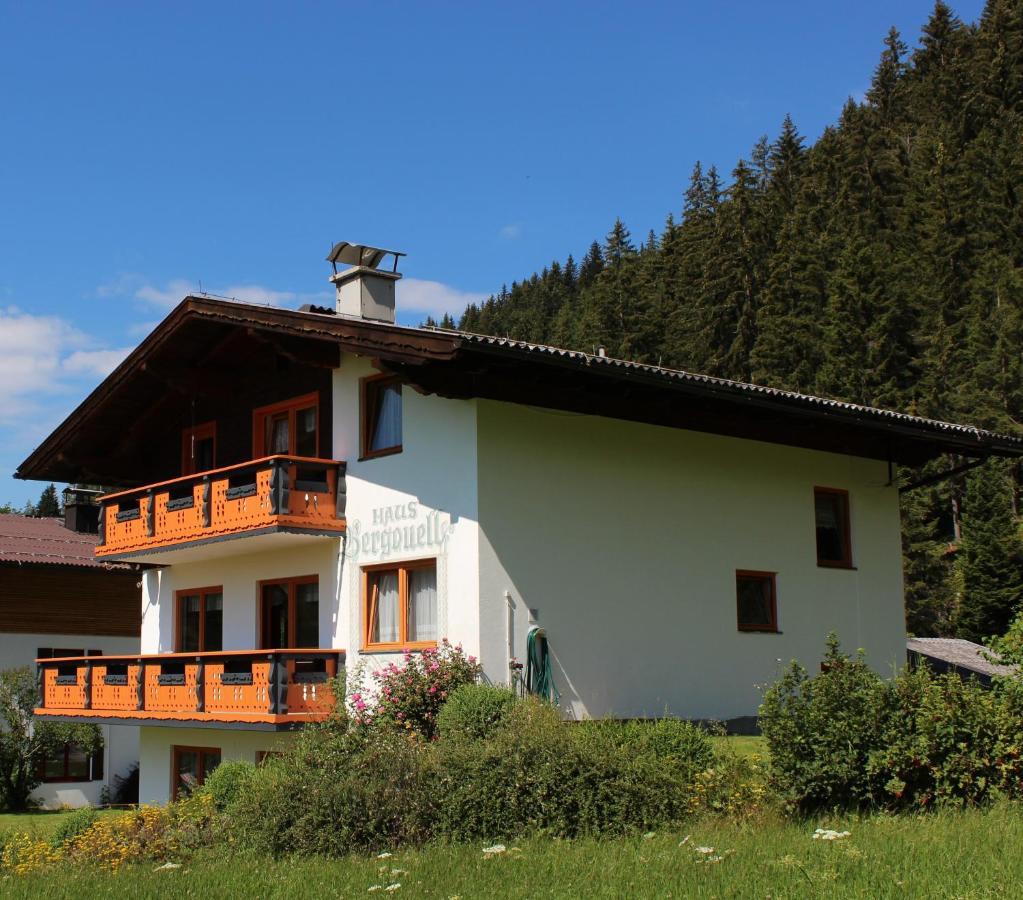 Appartement Haus Bergquell à Ramsau am Dachstein Extérieur photo