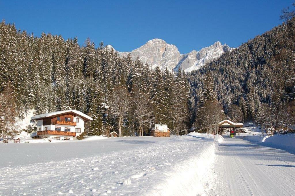 Appartement Haus Bergquell à Ramsau am Dachstein Extérieur photo